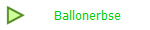 Ballonerbse