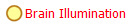Brain Illumination