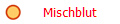 Mischblut